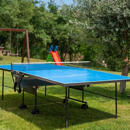 Karla Near Pula For 8 Persons With Private Pool, Kids Playground & Pet Friendly Villa Divšići