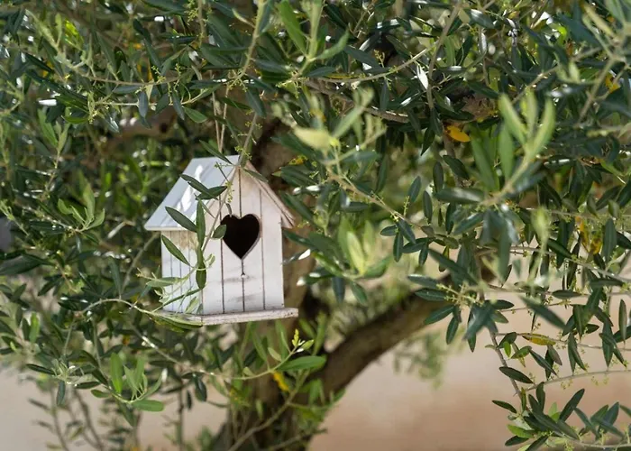 Villa Karla Near Pula For 8 Persons With Private Pool, Kids Playground & Pet Friendly Divšići